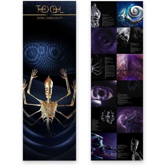 Fear Inoculum - Picture 4 of 4